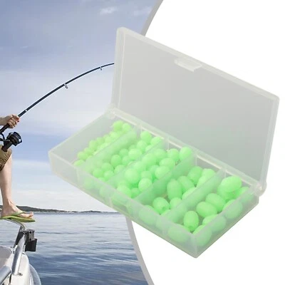 Flussangeln leicht gemacht mit leuchtend leuchtend leuchtend Angeln Perlen 100 S - Bild 1 von 4