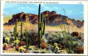 Tichnor Art Company Riesenkaktus in der Wüste Vintage Leinen Postkarte B9 - Bild 1 von 2