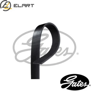 VRIBBED BELT 8PK1590HD FOR MERCEDES-BENZ CITARO2 OM936.980/919 7.7L 6cyl - Picture 1 of 9