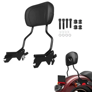 Detachable Sissy Bar Passenger Backrest Fit For Harley Softail FXLR FLSB 2018-up - Picture 1 of 10