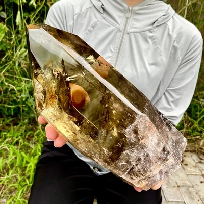 7,91 Pfund natürlicher Citrin Rückgrat Cluster Mineral Probe Quarz Kristall Heilung - Bild 1 von 4