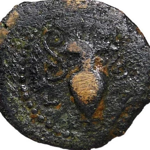 JESUS CHRIST lifetime coin. Valerius Gratus for TIBIERIUS. AMPHORA/Grapes, Livia - Picture 1 of 10