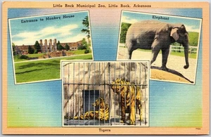Little Rock Arkansas AR, Little Rock Municipal Zoo, Tigres, Elefante, Postal - Imagen 1 de 2