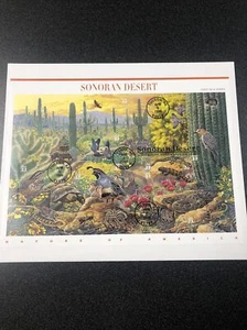 US 1999 FDC 3293 Sonoran Desert SEALED First Day Cover SHEET - Picture 1 of 5