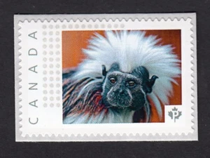 MONKEY = COTTON-TOP TAMARIN = Picture Postage MNH Canada 2016 [p16/01-2mk4/1] - Picture 1 of 2