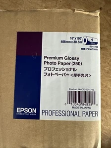 Epson Premium carta fotografica lucida 16" 406 mm x 30,5 m C13s041742 - Foto 1 di 2