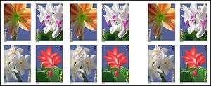US 4865d Winter Flowers imperf NDC booklet 20 MNH 2014 - Picture 1 of 1