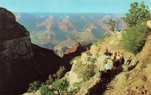 Postal Bright Angel Trail Parque Nacional del Gran Cañón Arizona AZ de colección - Imagen 1 de 2