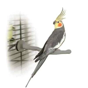 K&H Pet Products Pájaro Calentado Térmico-Perca Gris 10,5"" x 1"" - KH9010 - Imagen 1 de 1