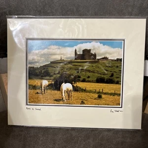 Vintage Signed Matted Photograph Rock Of Cashel-Horse-Ireland by Sean Tomkins - Picture 1 of 12