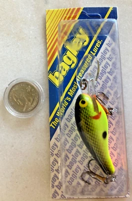 NEW BAGLEY NP-BLA72-A CHART Bagley’s DIVING SHAD CRANKBAIT FISHING LURE NOC SCAL - Image 1 of 4
