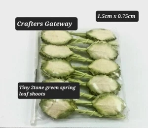 100x TINY 2tone Pale Green Spring Leaf Leaves Shoots Mulberry Paper Card Craft - Picture 1 of 3