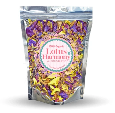 Lotus Harmony Organic 4 Lotus Mix - Flores de loto rojas, azules, rojas y amarillas Foto 1 de 4
