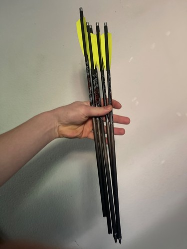 5 Excalibur Crossbow Bolts 20” Fire bolt | eBay