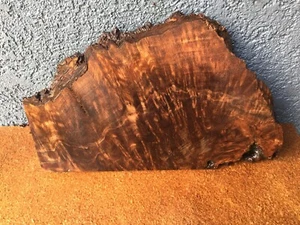 Walnut Burl Slab Billet Crafts Woodworking 7/8" x 10" x 16" #996 - Picture 1 of 2
