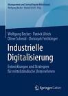 Industrielle Digitalisierung: Entwicklungen Und Strategien F?R Mittelst?Ndische 