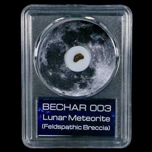 Moon Rock Lunar Meteorite Bechar 003 Algerian Sahara Desert Discovered 2022 COA - Picture 1 of 5