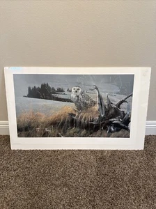 Original signierte Lithographie "Tundra Watch" 1986 Rod Frederick limitiert 1285/1500 - Bild 1 von 6