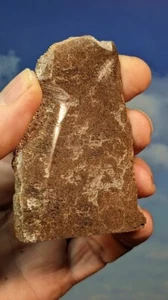 Jurassic Pliosaurus Bone. Abingdon UK. Polished. 75 x 55mm. As Shown. - Picture 1 of 8