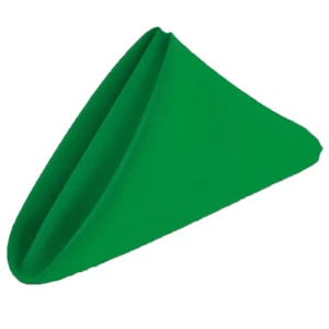 20" x 20" Polyester Dinner Napkins for Wedding Party Event Decor (Pack of 10) - Picture 1 of 14