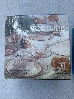 Nuevo en caja Juego de vajilla de anfitriona Arcoroc Vaisselle Rosaline Pink Swirl 16 piezas Francia Foto 1 de 2