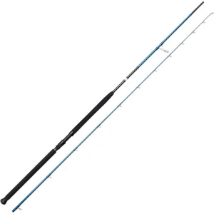 Savage Gear SGS2 Shore Jigging Rod 10' 30-100g - Picture 1 of 6