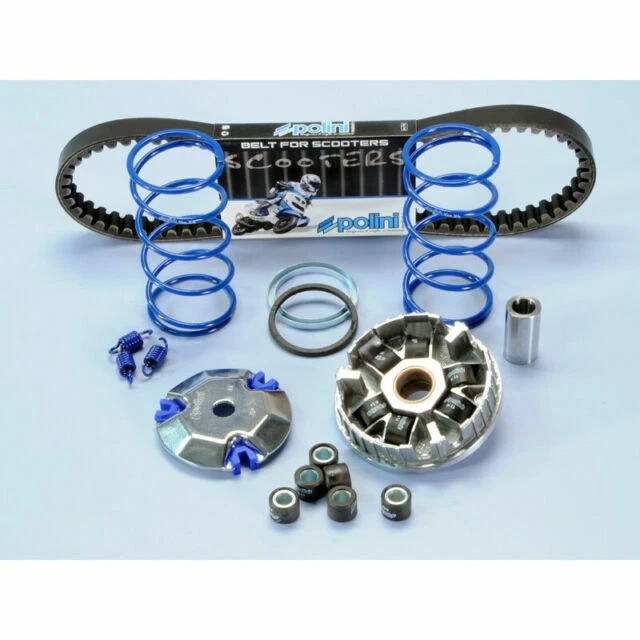 Polini 241.670.1 Kit Hi-Speed Variatore con Cinghia e Molle per MBK Booster - Grigio