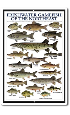 Letreros de hojalata estilo vintage arte de pesca juego de agua dulce tabla de peces imagen de cabina Foto 1 de 4