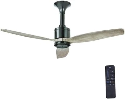 Chaplin 52 in. Indoor Glossy Black Ceiling Fan with Remote by Home Decorators C. - Image 1 of 4