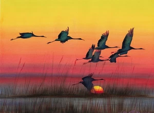 original painting 30 x 40 cm 187DM artwork watercolor herons at sunset - Picture 1 of 4