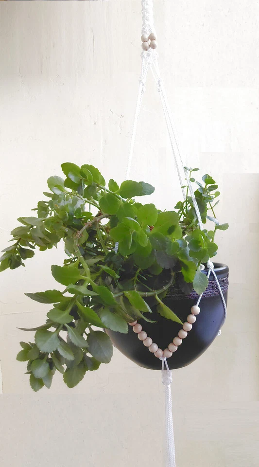 Colgador de plantas de macramé natural KM 45" M30P21 Foto 1 de 4