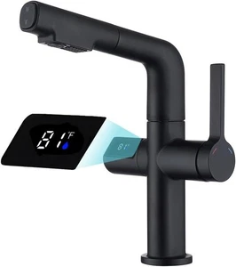 LED Bathroom Faucet with Pull Out Sprayer, 10.47'' Tall, Black - Picture 1 of 7