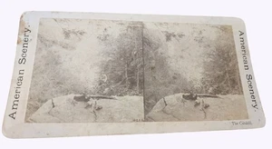 Antique American Scenery Stereoview Card The Catskill - Picture 1 of 3