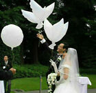 5tlg Hochzeit Tauben Folienballon wei&#223; Flug Ballons Dove Deko f&#252;r Helium Ne J0I9