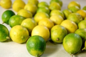 Key Lime Fresh (seeded) x 10. Organically Grown From Egypt. - Picture 1 of 1