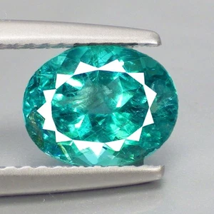 1,97 Ct Splendido Ovale (8 x 6) Naturale Paraiba Verde Neon Blu Apatite Gemme - Foto 1 di 7