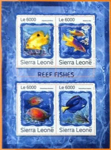 A6795 - SIERRA LEONA, Error, 2016, HOJA MINIATURA MISSPERF: Peces de arrecife - Imagen 1 de 1