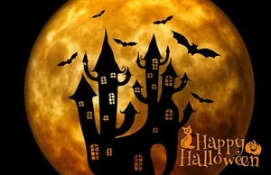 Halloween # 31 - T Shirt Iron On Transfer - Spooky - Boo - Pumpkin - Picture 1 of 1