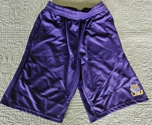 NCAA KA LSU Tigers Shorts Mens Medium Purple Mesh Knights Apparel 10" Inseam - Picture 1 of 6