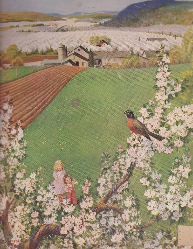 Saturday Evening Post Raymond La Raviere Philip Wylie Luke Short  May 7 1955 - Image 1 of 1