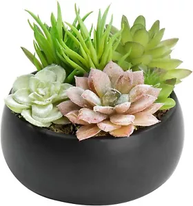 Mini Artificial Succulent Arrangement in Black Ceramic Planter Bowl Assortment 3 - Picture 1 of 5