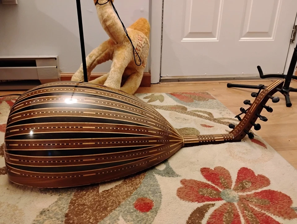 Oud iraquí profesional Foto 1 de 4