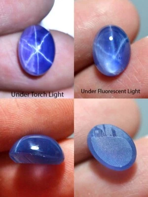 6.08 Ct 11.5x8.4 MM Blue Star Sapphire 6 Rays Lab Created Corundum VDO BS94311 - Image 1 of 4