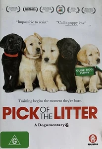 DVD Doco: Pick Of The Litter - 2 Year Odyssey | Entrenamiento de cachorros para perros guía - Imagen 1 de 3