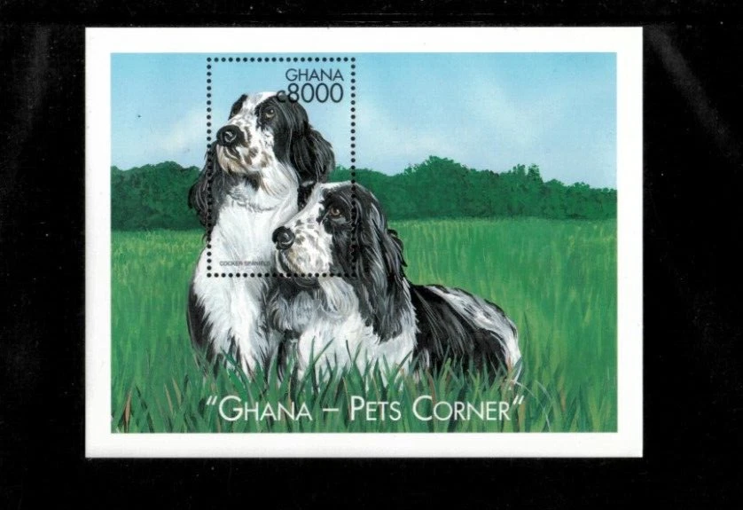 Ghana 2000 - Perros - Hoja de estampillas de recuerdo - Scott #2206 - MNH Foto 1 de 1
