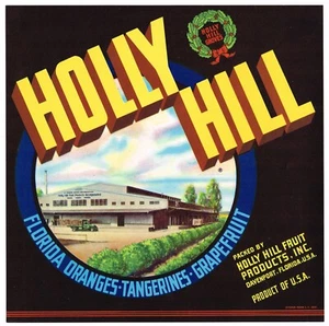 ORIGINAL FLORIDA ORANGE CRATE LABEL HOLLY HILL DAVENPORT 1956 FILE RARE BLACK - Picture 1 of 1
