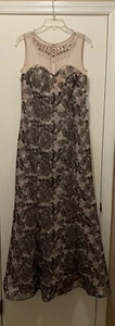 Ignite Evenings Lace Gown Dress Size 6 Elegant Evening Cruise Party Wedding - Picture 1 of 11