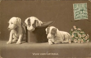 Puppies, One in a Cylinder Hat - Artist Drawn Vintage Postcard, Dog, Stamp - Picture 1 of 2