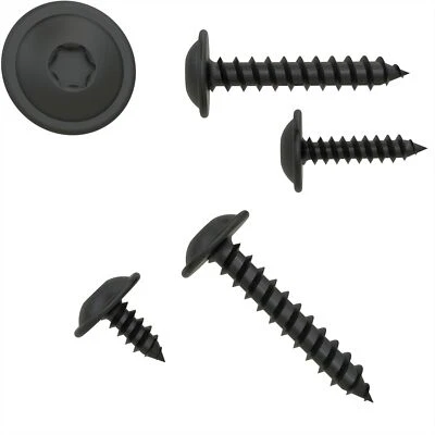 AUPROTEC Blechschrauben Flachkopf mit Scheibe TORX schwarz verzinkt 3,9 - 4,8 mm DIN 7049
