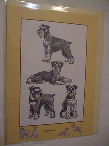 CARTE + ENVELOPPE - chien   SCHNAUZER POIVRE ET SEL - Picture 1 of 1